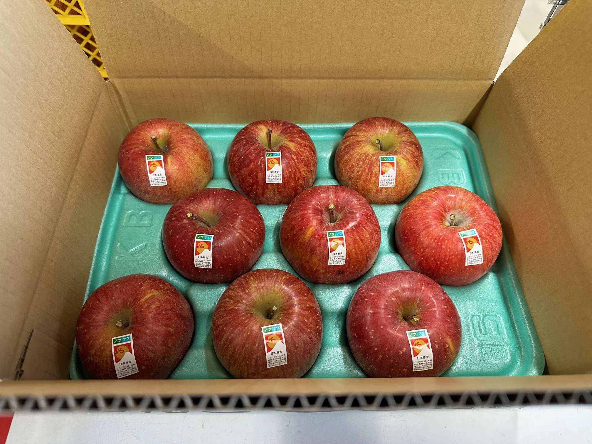 株式会社ウィズファーム 贈答用 ノウフクサンふじ 約3kg