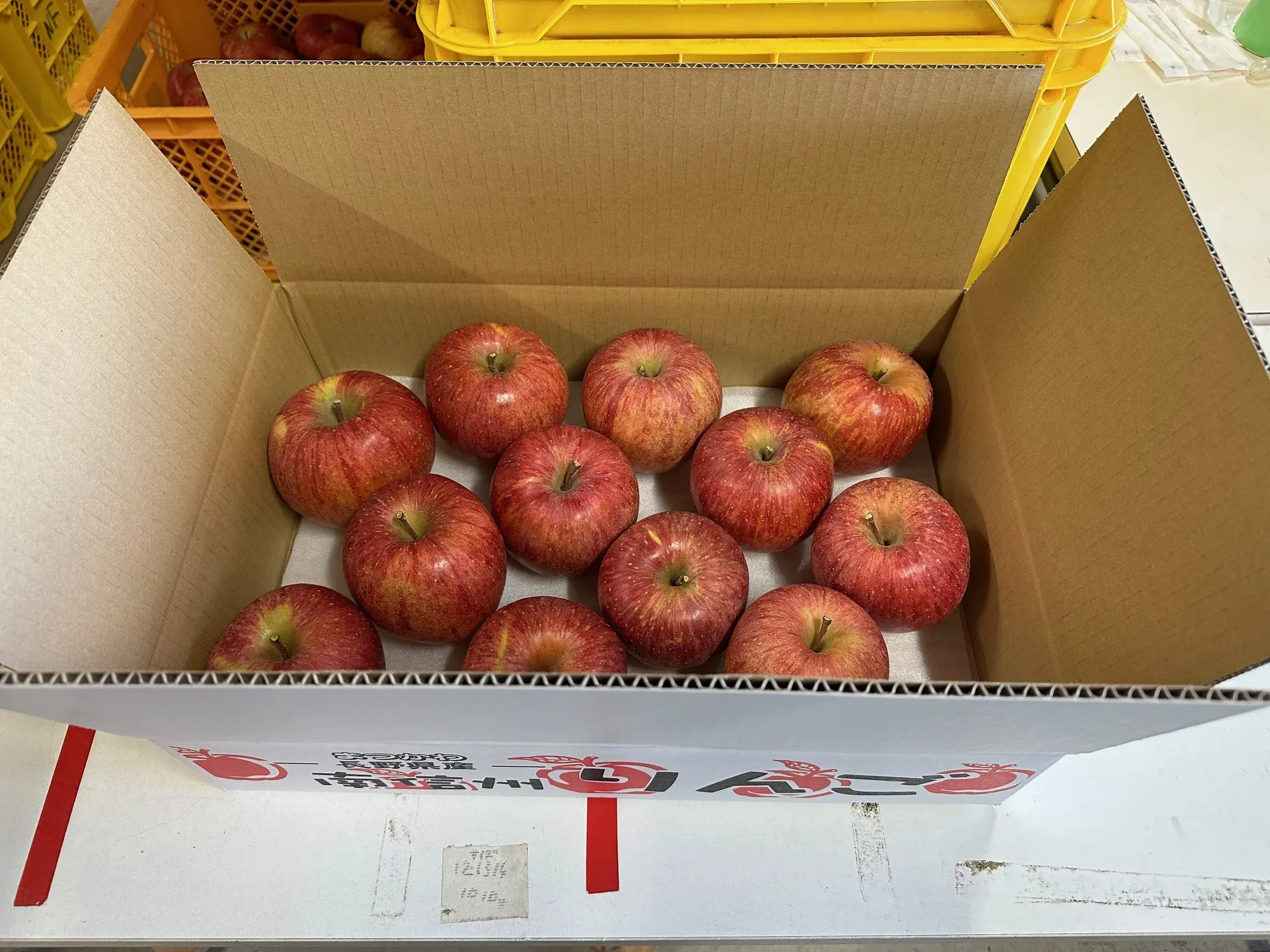 株式会社ウィズファーム 家庭用 ノウフクサンふじ 約5kg